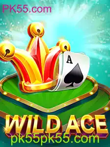 Explorando o Novo Jogo WildAce: Ação, Estratégia e Diversão